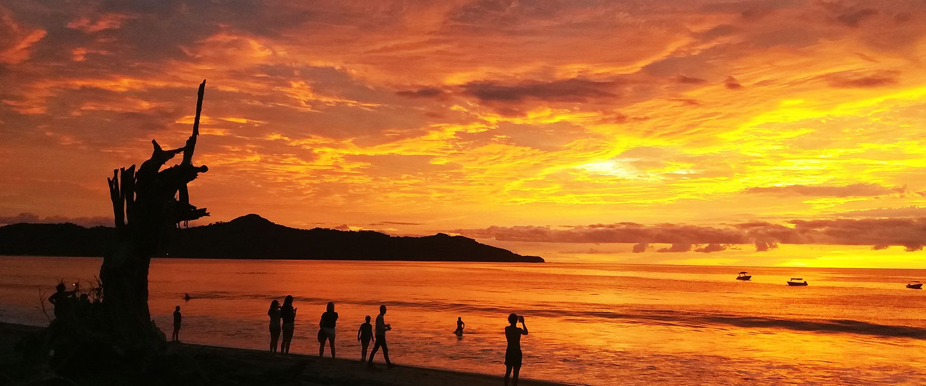 bpsurf sunset